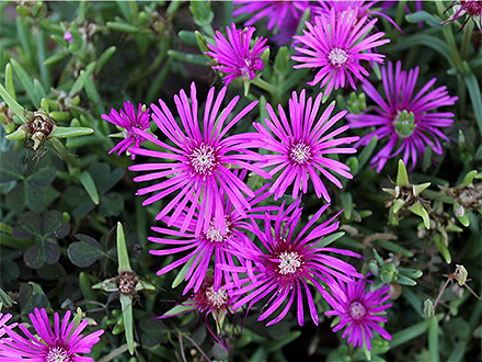 中欧体育下载产品展示六